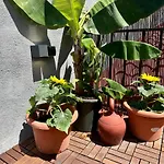 Little Horse Apartments 3
