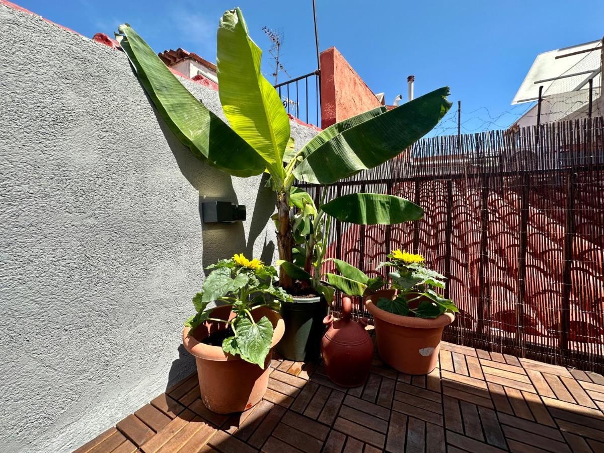 Apartamento Little Horse 3 *